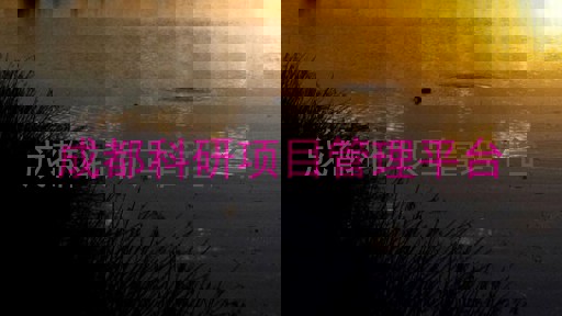 成都科研项目管理平台