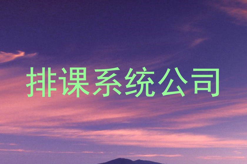 排课系统公司