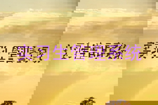 实习生管理系统