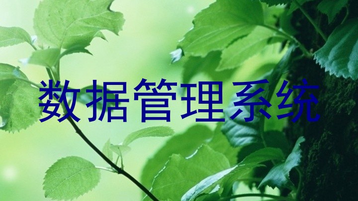 数据管理系统