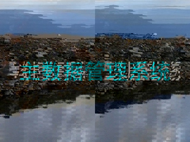 主数据管理系统