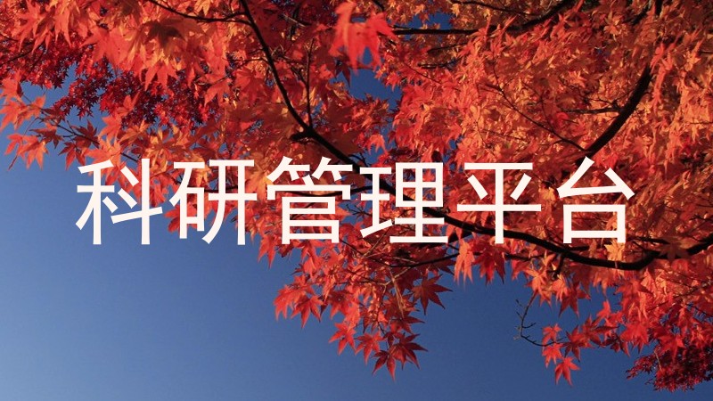科研管理平台