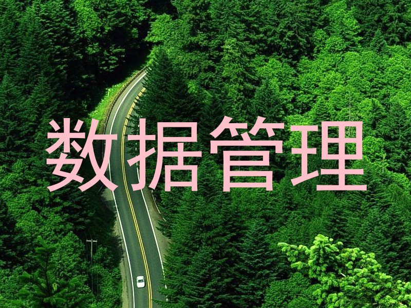 数据管理