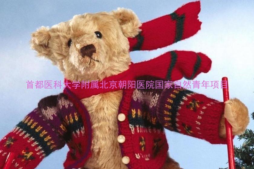 首都医科大学附属北京朝阳医院国家自然青年项目