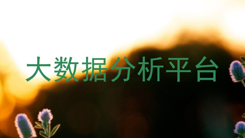 大数据分析平台