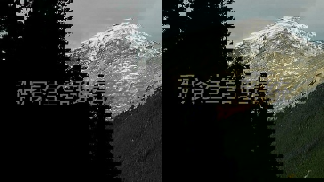 研究生管理信息系统