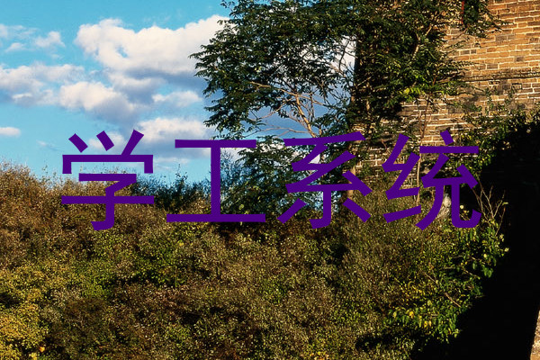 学工系统