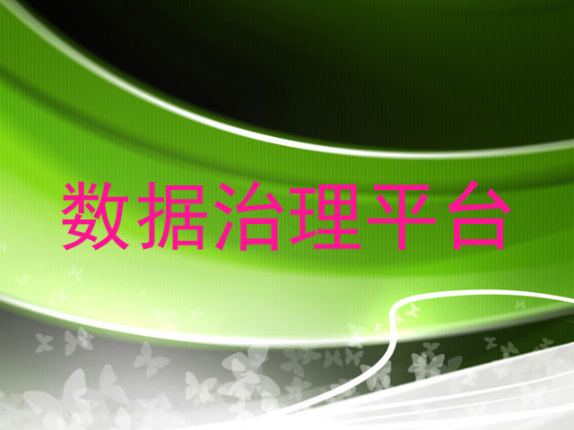 数据治理平台