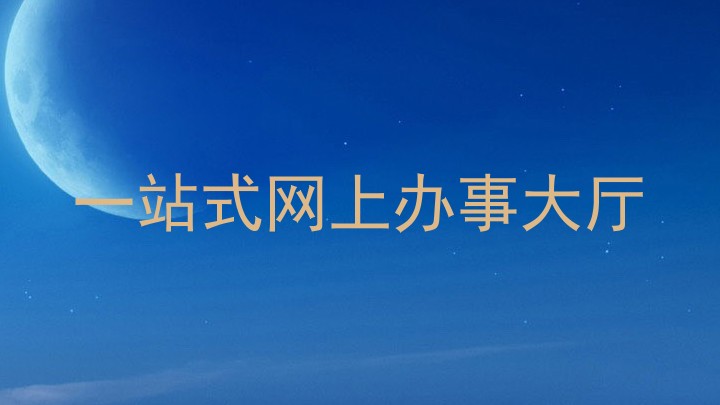 一站式网上办事大厅