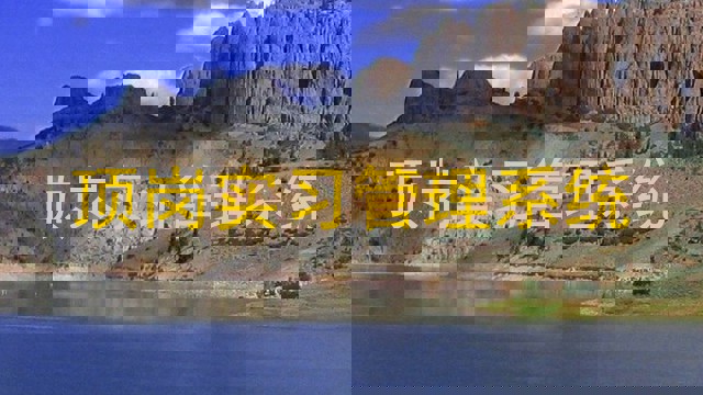 顶岗实习管理系统