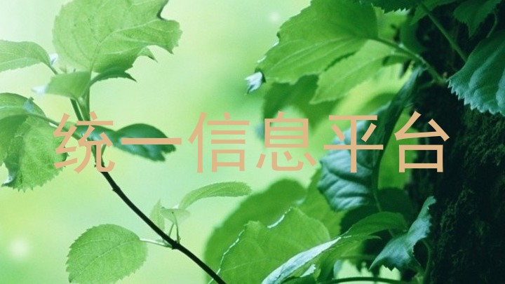 統(tǒng)一信息平臺(tái)