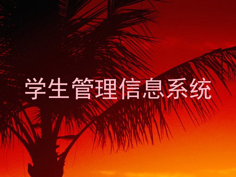 学生管理信息系统