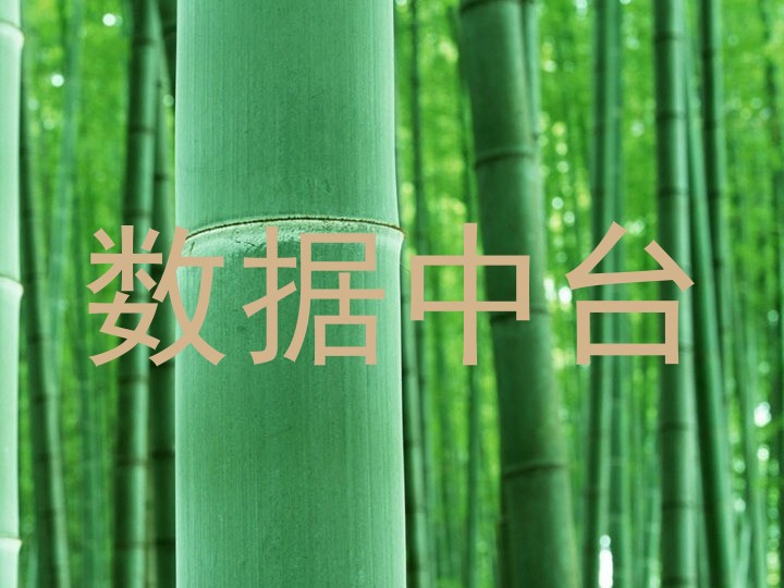 数据中台
