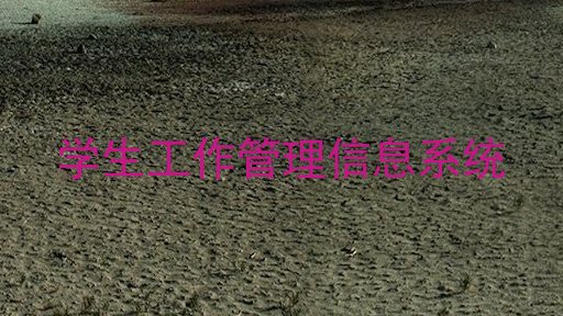 学生工作管理信息系统
