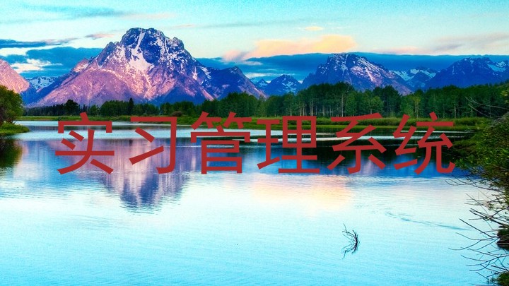 實習(xí)管理系統(tǒng)