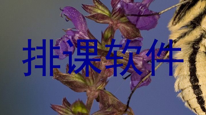 排课软件