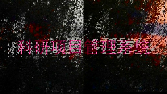 科研项目管理系统