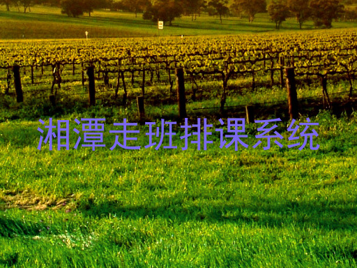 湘潭走班排课系统