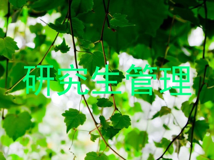 研究生管理
