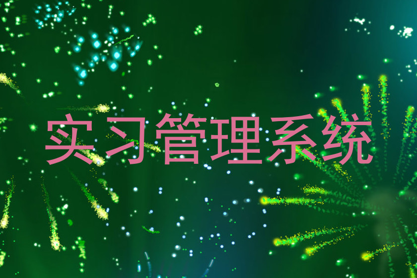 实习管理系统