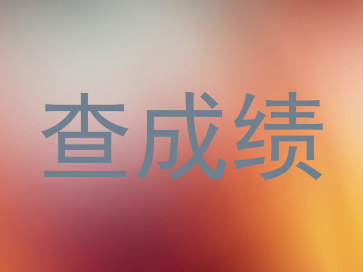 查成绩