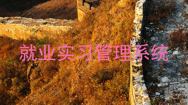 就業(yè)實(shí)習(xí)管理系統(tǒng)