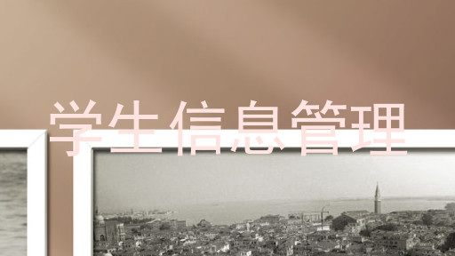 学生信息管理