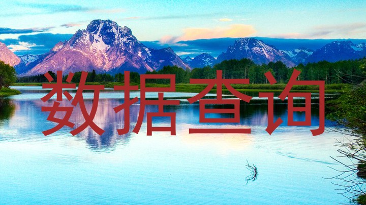 数据查询