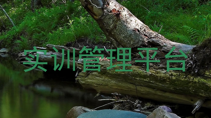 实训管理平台
