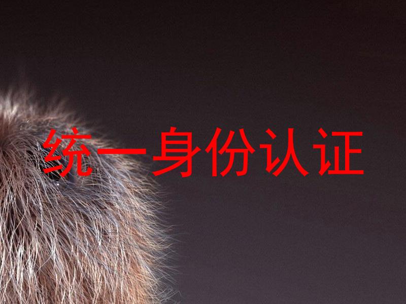 统一身份认证