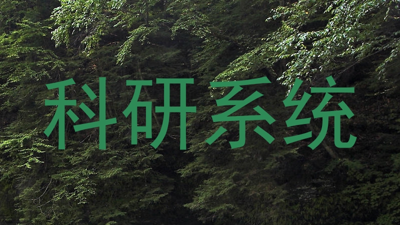 科研系统