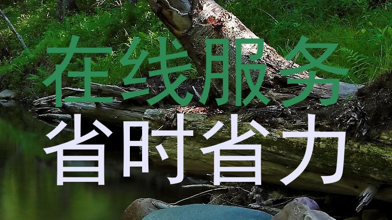 在线服务