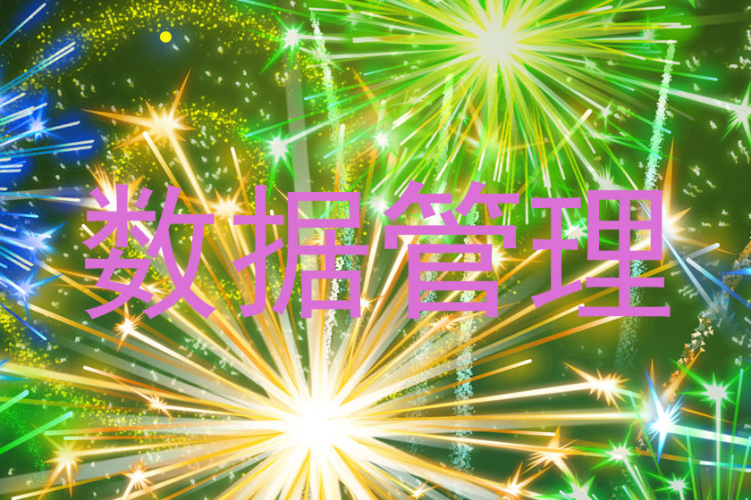 数据管理