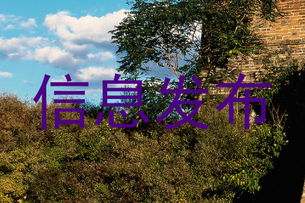 信息發(fā)布