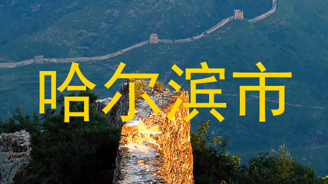 哈尔滨市