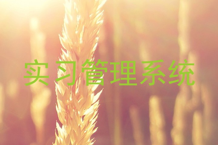實(shí)習(xí)管理系統(tǒng)
