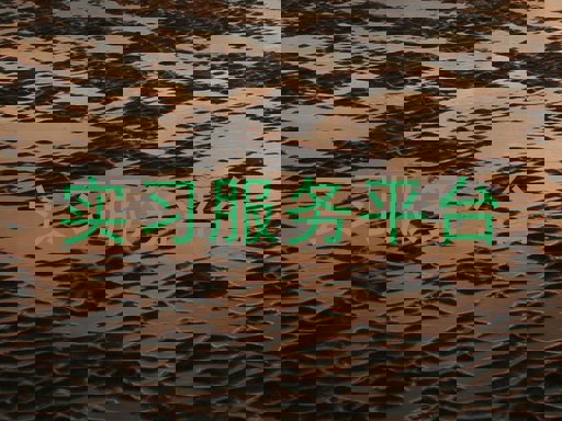實(shí)習(xí)服務(wù)平臺(tái)