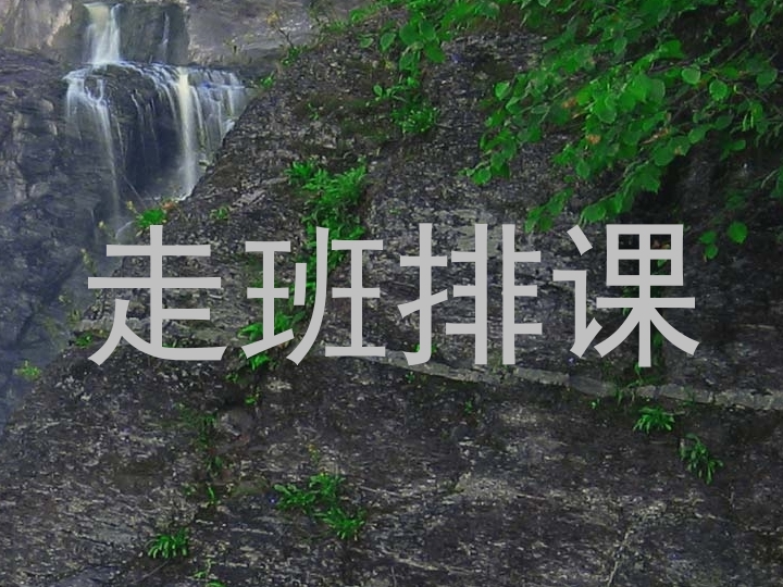 走班排课