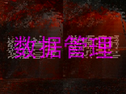 数据管理