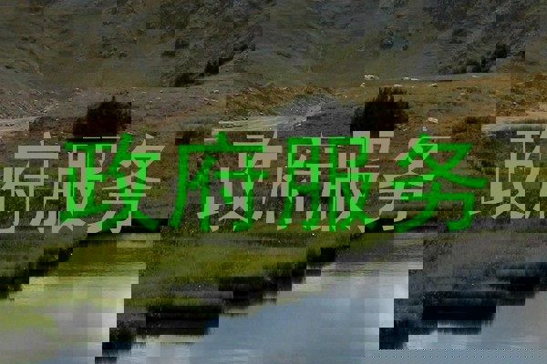 政府服务