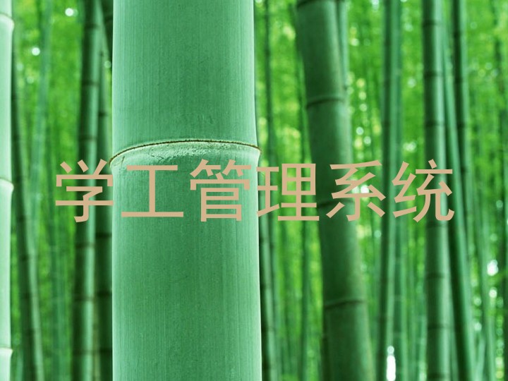 学工管理系统