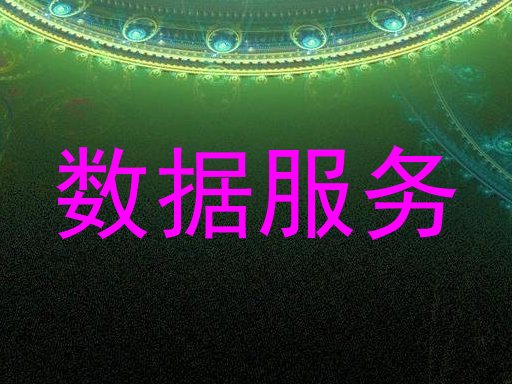 数据服务