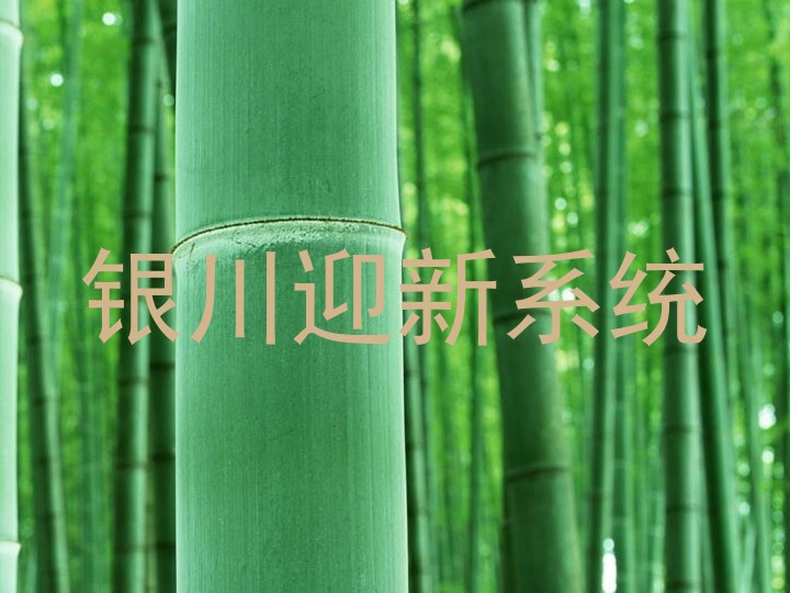 银川迎新系统