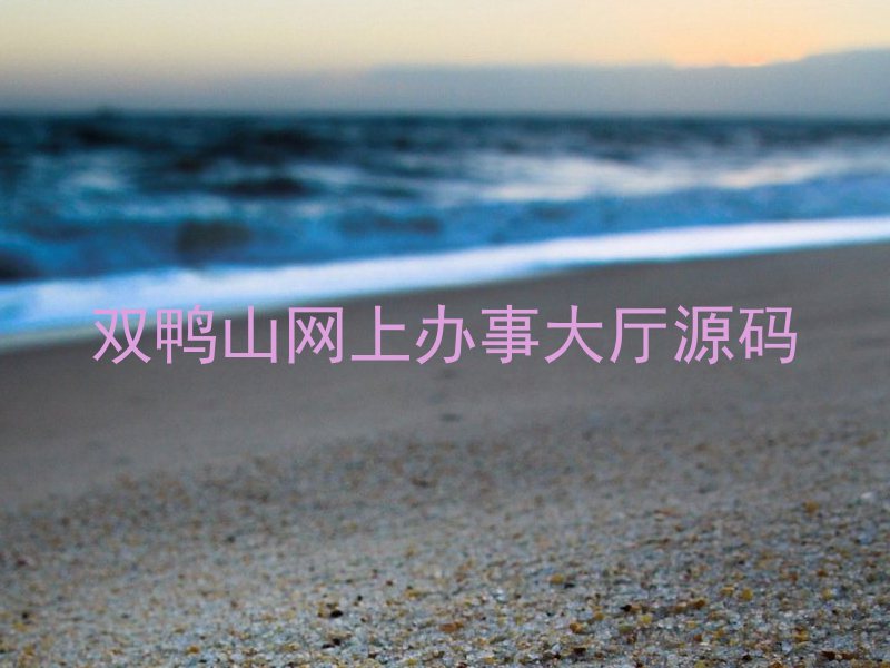 双鸭山网上办事大厅源码