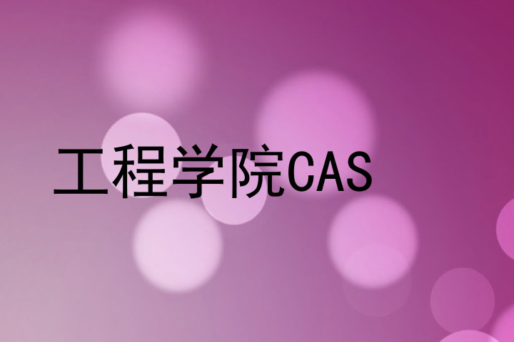 工程学院CAS