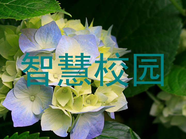 智慧校園
