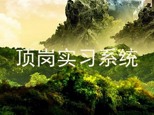 顶岗实习系统