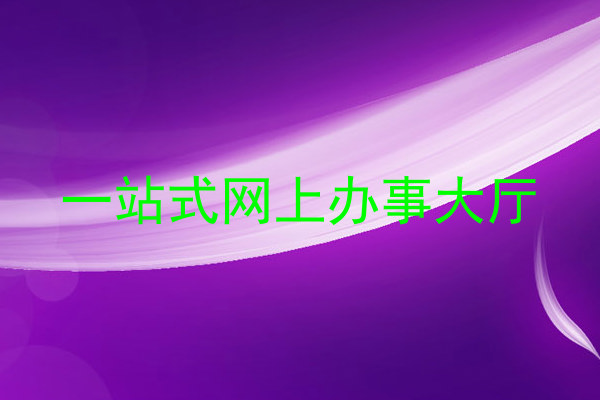 一站式网上办事大厅