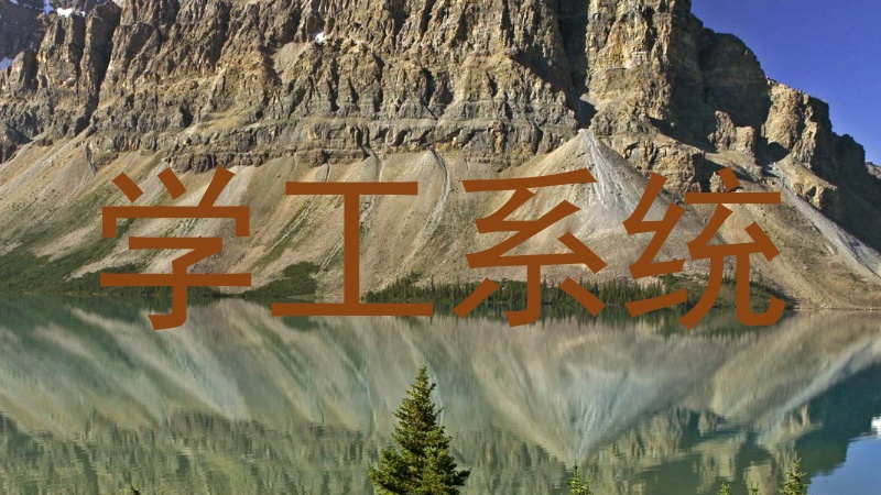 学工系统