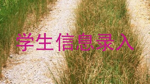 学生信息录入
